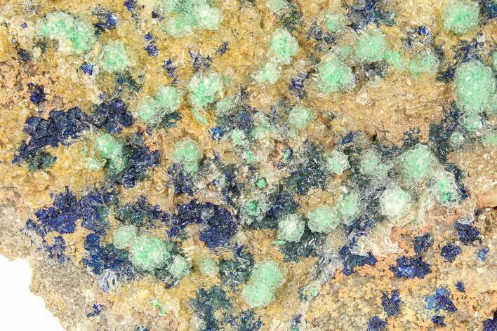 Malachite and Azurite on Ferroan Dolomite - Morocco #291842